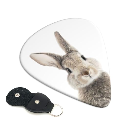   vX`bNsbN 킢GLM^[sbN Absf GNgbN AR[XeBbN y lwysbN 6pbN 0.96mm