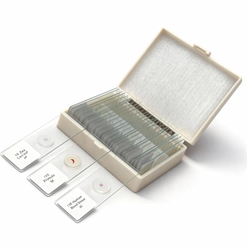 25 Prepared Microscope Slides Set for Apologia Biology | Ready-to-View, Clearly Labeled Specimens in a Storage Case | Coverslip Sealed | Perfect for Homeschool Science Labs