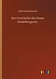 Der Unterkiefer des Homo Heidelbergensis