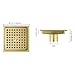 Orhemus 6 inch Stainless Steel Square Shower Floor Drain with Threaded Adapter, Removable Cover Grid Grate, Brushed Gold Brass Finished