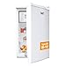 Lord R3 Kühlschrank mit Gefrierfach, 85 cm hoch, 109 L, Energieklasse D, leise 37 dB, freistehend - Mini Kühlschrank mit 14 L Gefrierfach, weiß
