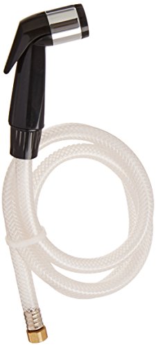 Peerless RP42846 Spray and Hose Assembly, Chrome
