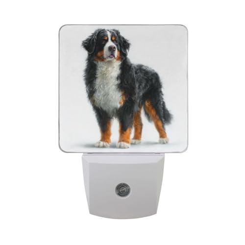 Lámpara nocturna LED para niños con sensor crepuscular miniatura 7