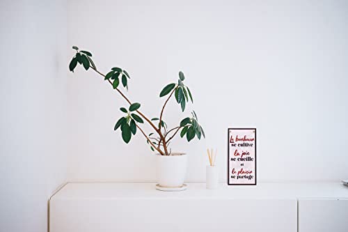 CARISPIBET Le bonheur, la joie, le plaisir enseignes décoratives ornaments suspendu décoratives murales 30 x 15 cm – vue 4