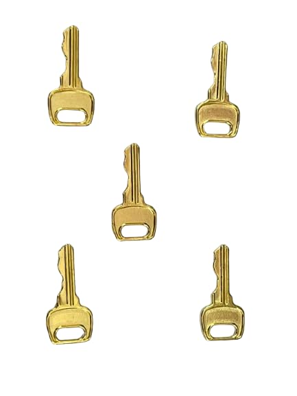 Bhavya Optic Key Charms for Bracelets Pendant Charms Mobile Charms Keychain Charms Earring Charms Necklace Charms Accessories