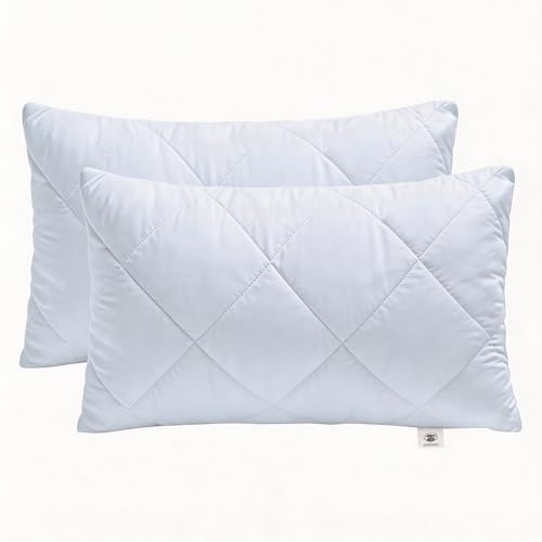 Makimoo Lot de 2 Coussins de Garnissage, Coussin à Recouvrir, Oreillers Intérieur, Rembourrage Coussins (30 x 50 cm)