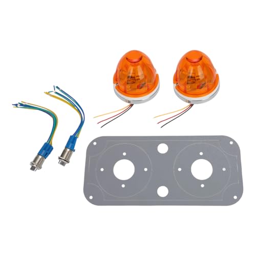 Placa de luz interior y interruptor para camión Peterbilt