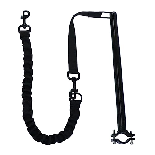 Laisse de vélo rétractable pour chien avec fixation durable pour balades à bicyclette
