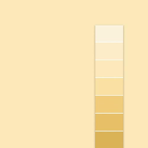 Vista 8 de Rodda Paint CASCADIA ZERO - Pintura e imprimación semibrillante para interiores en uno, cuarto de galón, rodaja de limón Lemon Slice