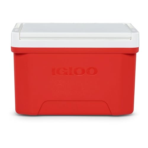 Igloos Laguna Small 9 QT Ice Chest Cooler, Fuchsia Burst, Hard Shell Portable Cooler Box, with Tray Lid and Cup Holders, Cool Riser Technology, Easy Clean, Travel, Beach, Camping (Red)