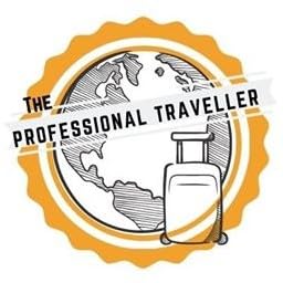 The Professional Traveller cover art