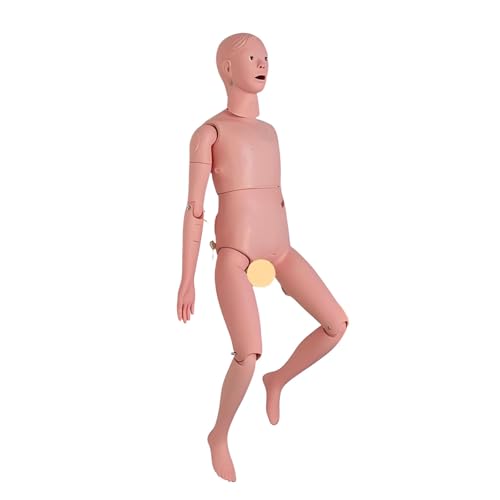 看護実習モデル人形 患者ケア用マネキン 多機能訓練可能 医療用トレーニング人形 静脈注射練習 介護モデル 手足関節可動 医学生 看護師 学習用 女です 生殖器の交換+胸の吐き気