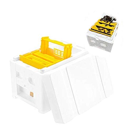 HunterBee Queen bee apidea breeding mating nuc Mini hive Box Queen Rearing nuc Beehive for Queen bee Raising bee King Box Pollination Tools