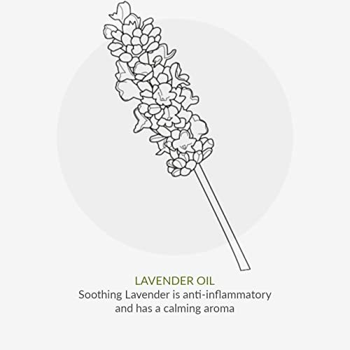 Green People Organic Children Lavender Burst Shampoo 200ml | Natural & Organic Shampoo for Kids & Toddlers | Eczema-Friendly & Gentle on Sensitive Skin | SLS Free & Paraben Free | Vegan, Cruelty Free - Image 8