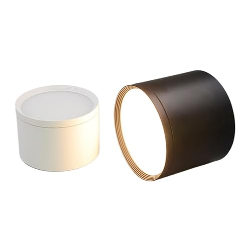 Plafonnier LED en saillie 12W noir dimmable blanc froid pour salon