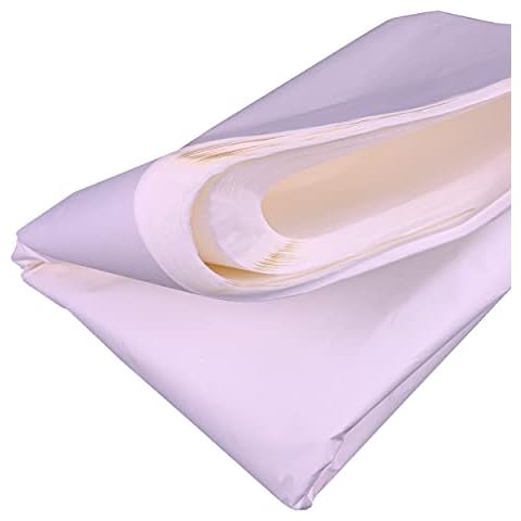 Carnival Papers Wet Strength White Tissue Paper 60 Sheets Alternative to Deli Paper for Model Making, Geli Printing, Mixed Media Crafts etc Resistant to Tearing When Wet Cover