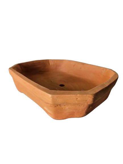 FARMLAND Clay Pots for Plants/Terracotta Pots for Plants Rectangle (shaped corner) Bonsai type (B0D6L1HNVT) Amazon Price History, Amazon Price Tracker