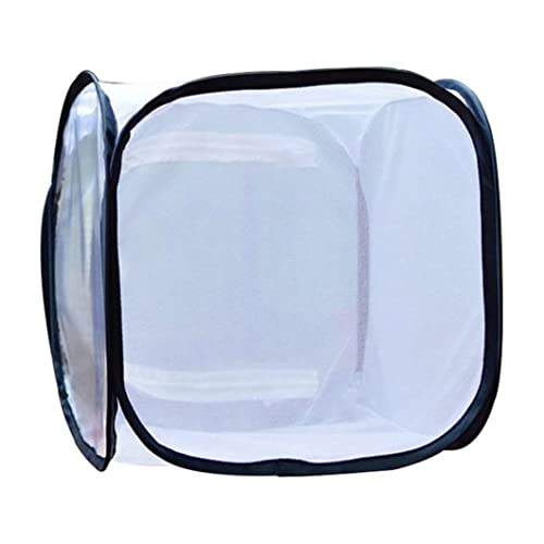 Incubador de plantas transparente de 30 cm para un huerto en balcón