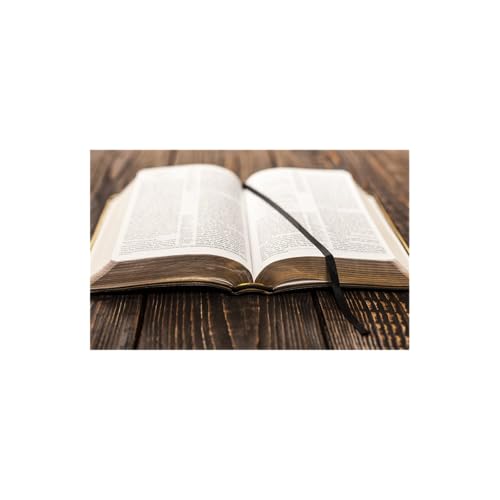 "The Rule of Books"
