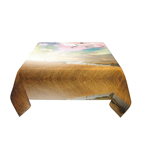 Nappe carrée lavable et imperméable pour table de restaurant et banquet - 4