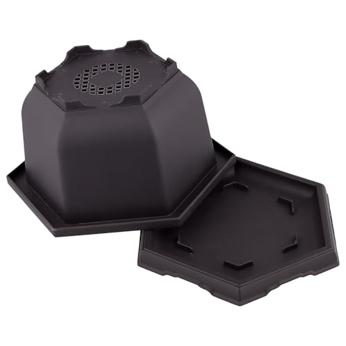 Pots à bonsaï hexagonaux perforés en maille de 14 cm avec soucoupes