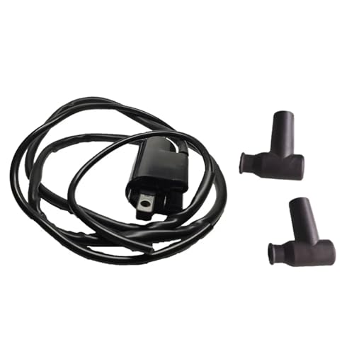 Bobine d'allumage pour motomarines contre les pannes XP 787