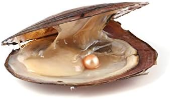 Miniatura 4 de 4 piezas de ostras de perlas cultivadas de agua dulce con perlas redondas en 4 colores (0.256-0.295 in) para hacer joyas o regalos de cumpleaños,