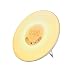 Sunrise Alarm Clock, PYRUS Wake Up Light Alarm Clock with Sunrise Simulation with Nature or FM Radio Sounds