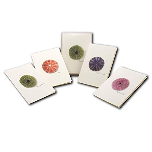 Image of Earth Sky + Water - Sea Urchin Assortment Notecard Set - 8 Blank Cards with Envelopes (2 each of 4 styles)