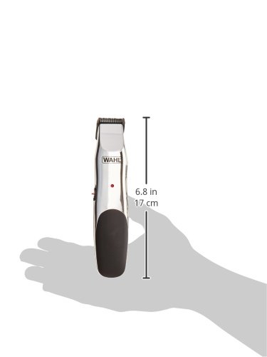 https://m.media-amazon.com/images/I/31b+TY93mrL.jpg