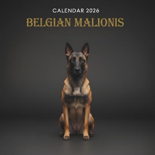  Belgian Malinois Calendar 2026: A Year of Powerful and Focused Belgian Malinois Dogs in Stunning Real-Life Moments
