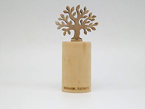 5.75" wood essential oil reed diffuser, aromatherapy diffuser, mini fragrant oil diffuser, car