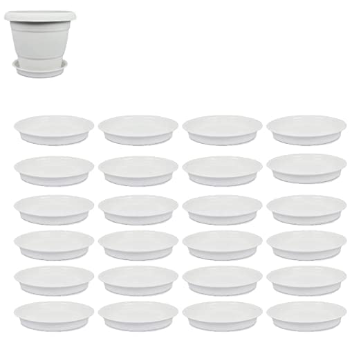 See full amazon price history chart for Sumit Greenery Heavy Duty 6-Inch White Plate for Plants (Pack of 12, Durable Plastic) Sumit Greenery Heavy Duty 6-Inch White Plate for Plants (Pack of 12, Durable Plastic) (B0BRMVMXTN) Amazon Price History, Amazon Price Tracker