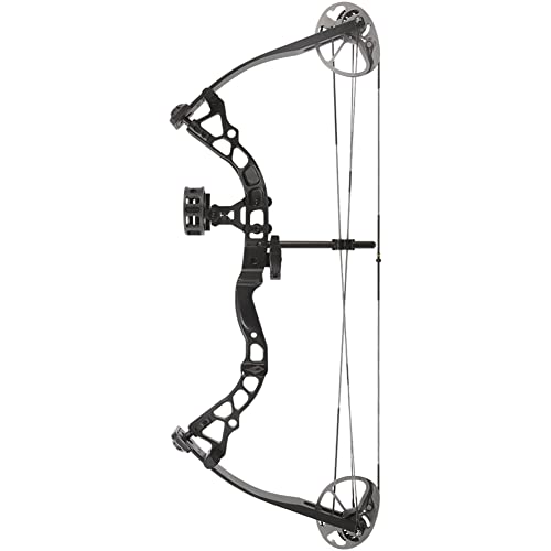 Best Compound Bows of All Time 2023