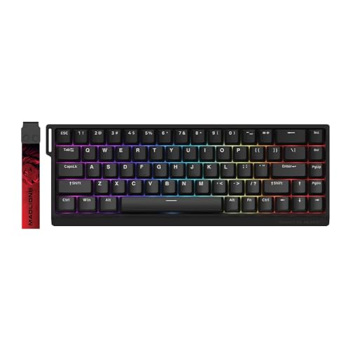 Madlions MAD 68 HE - Wooting Killer | Clavier Magnétique/Mécanique Gaming 65%| 8000Hz Polling Rate |Latence RT/Reset Ultra Export | 16,5M RGB | Web Driver | Magnetic Switch | US Layout QWERTY