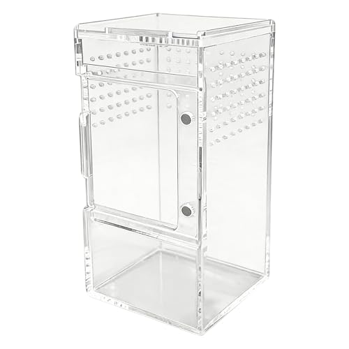 Terrario de arañas – Jaula de arañas con tapa deslizante, jaula de araña saltando, ventilación transparente, hábitat para reptiles, tortugas, serpientes, geckos, cangrejos, ranas