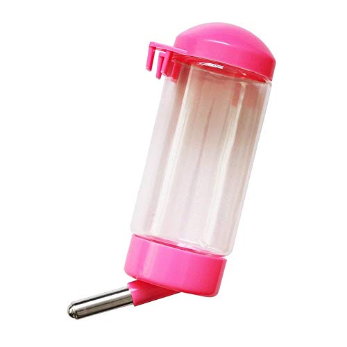 ybg{gAybgAALAnX^[AETMȂ̏p̖hH (S, Pink)