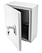 QWORK Heavy-Duty Outdoor Electrical Box, Fiberglass Reinforced Polyester, Steel, 12x10x6 inches with Lock & Keys for Industrial, Mall, Residential Use
