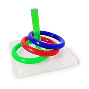 BMBN Training ring, vogel educatieve puzzel speelgoed veilig acryl interactieve stapelen ring gooien spel papegaai training kauwen spelen benodigdheden