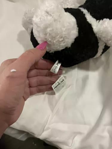 Amazon.co.jp: パンダぬいぐるみ「ダンパ」限定版北海道日本