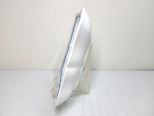 Amazon.co.jp: リチャードジノリ Richard Ginori スクエアプレート 皿