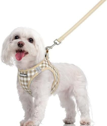 rabbitgoo Hundegeschirr Kleine Hunde mit Leine Step-in, Beige kariert, M | Einfach anzulegen, Atmungsaktiv, Weiches Mesh & Reflektierend, Sicherheitsverschluss mit 1,5m Leine für K