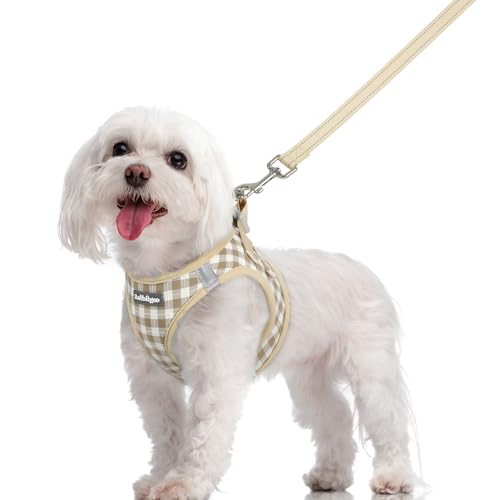 Image of rabbitgoo Dog Harness Medium Sized and Leash Set, Step-in Puppy Pet Vest