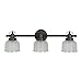 LUMINANCE F3193-64 3-LT 100W MB Wren Vanity