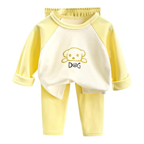 [Kuisogan] pW} LbY  Y{ ㉺Zbg 80-140 q j̎q ̎q [EFA K[Y {[CX 킢    _炩 K iCgEFA Opc gbvX ێ QԒ  Q t