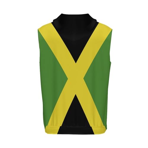 Palestine Flag Men's Sports Hooded Tank Top T-Shirt Casual Sleeveless Fitness Hoodie, 6X-Large2