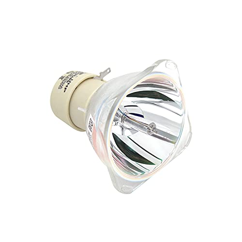 Lampe 9E.Y1301.001 pour BenQ MP512 et MP522, ampoule vide de rechange pour vidéoprojecteur