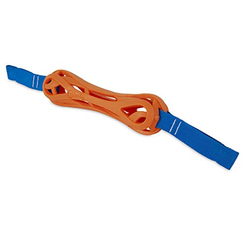 Image of Chuckit! Air Fetch Bumper Dog Toy, Orange