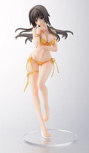 マブラヴ オルタネイティヴ トータル・イクリプス 篁唯依 恥じらいの浜辺 1/7 完成品フィギュア （月刊ホビージャパン2013年3月号＆4月号誌上通 rdzdsi3 Amazon | マブラヴ オルタネイティヴ トータル・イクリプス 篁唯依