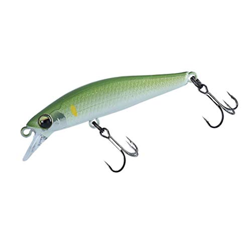 10%OFFۥ(DAIWA)ȥ饦ȥС꡼ߥΡȥ48Sѡ륢륢
